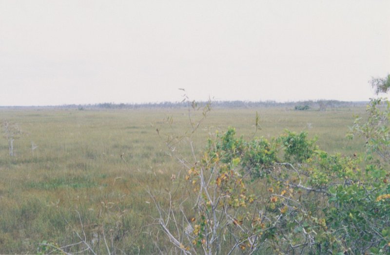 009-Everglades National Park.jpg